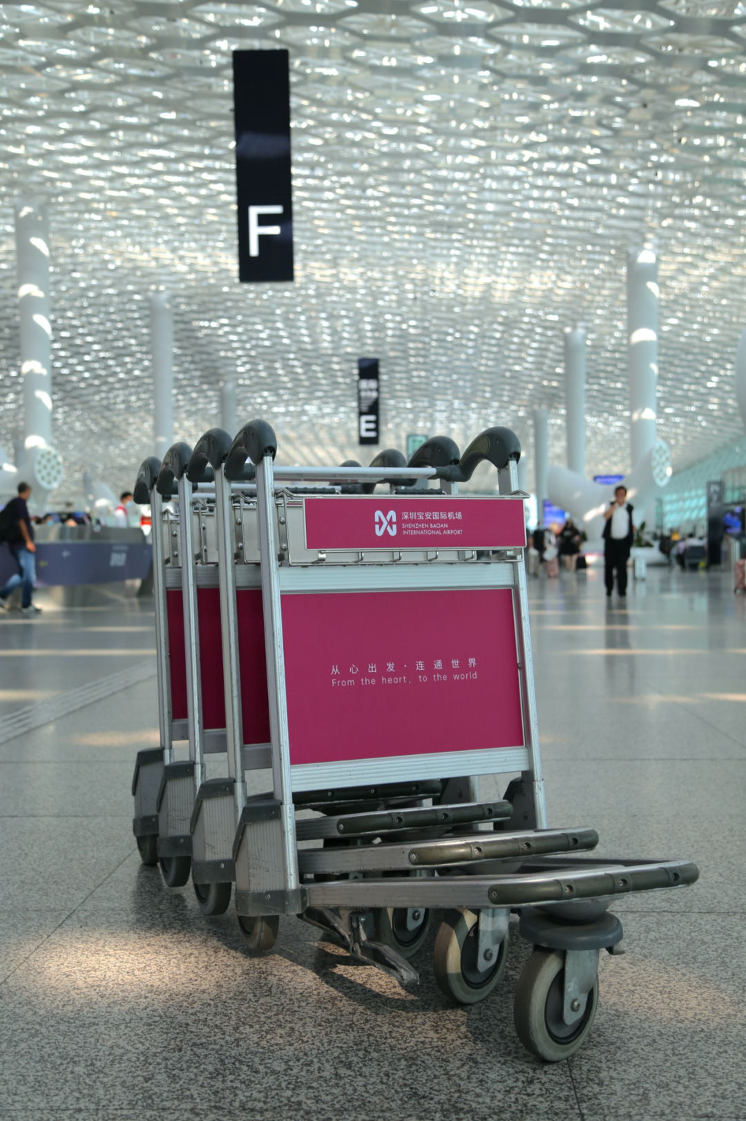 1619517847542802.jpg 12_看图王.jpg