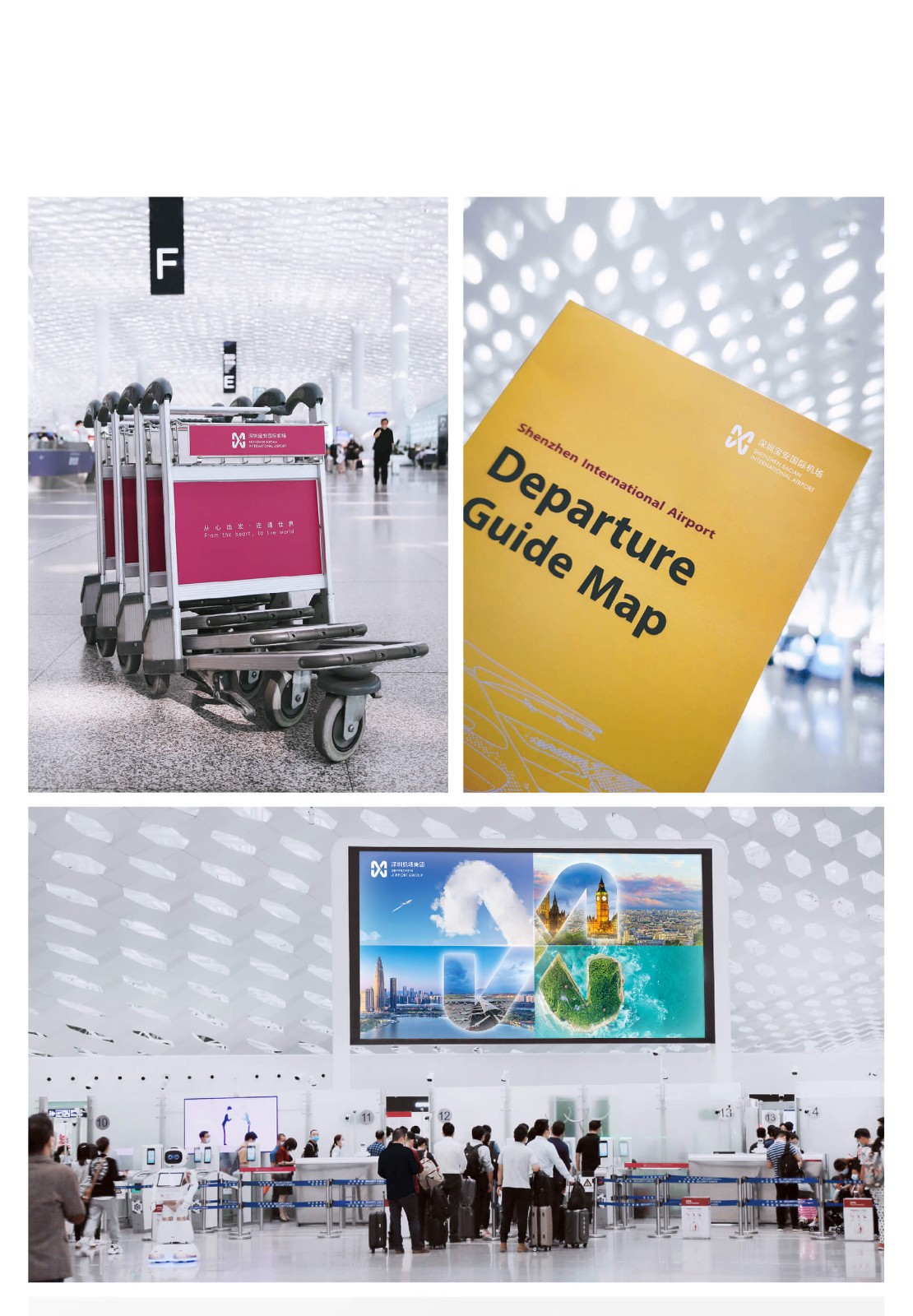 1639711696568750.jpg 1639711696568750.jpg