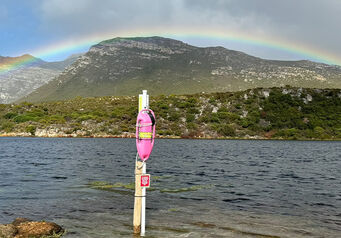 Banner Pink Buoy 02