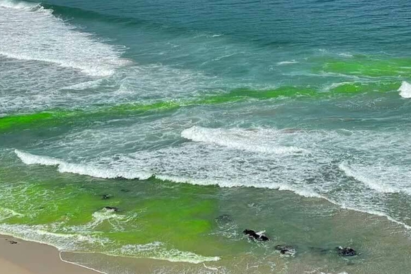 Banner Rip Current