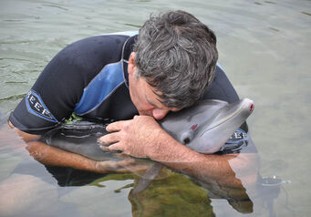 Dolphin adele hertzog