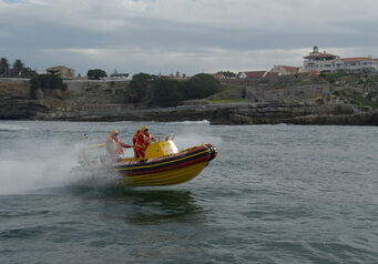 Hermanus