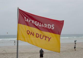 Lifeguards 3563