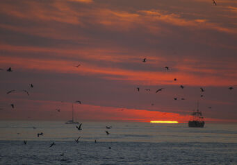 Monruso sunset1331