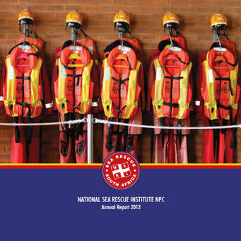 Nsri ir 2013