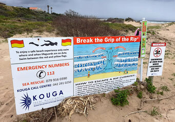 Nsri rip survivor thumb 824x572