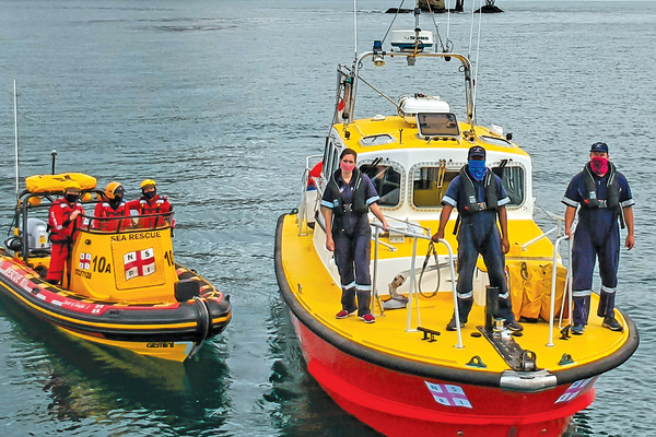 Nsri spring2020 cover