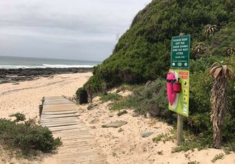 Pink Torpedo Buoys
