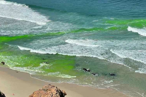 Rip Currents
