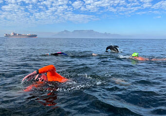 Robben island swim thumbnail