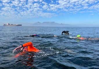 Robbenisland