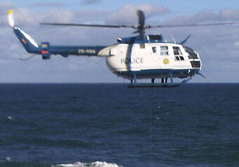 Saps 1