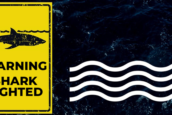 SHARK SIGHTING TEMPLATE GENERIC