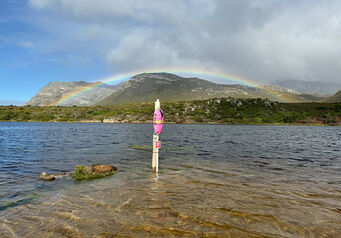 Thumbnail Pink Buoy 02