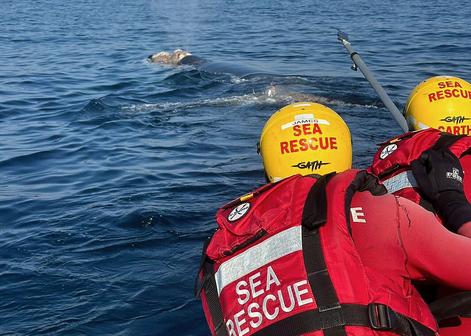 whale disentanglement July 2024