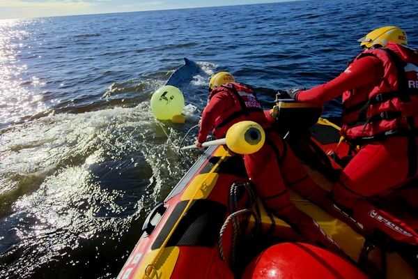 Whale Disentanglement West Coast