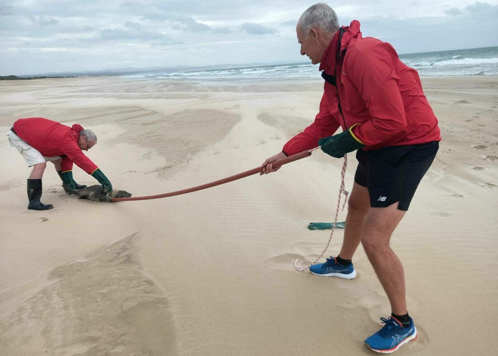 Dean Luyt seal rescue
